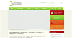 Desktop Screenshot of celebrusstrategies.com